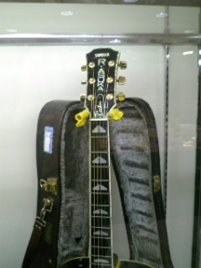 a3abb1b440500137304e-L.jpg