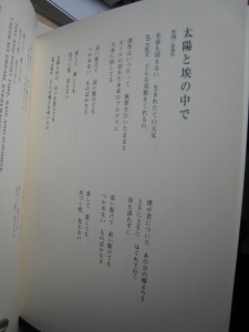 DSO 007.jpg
