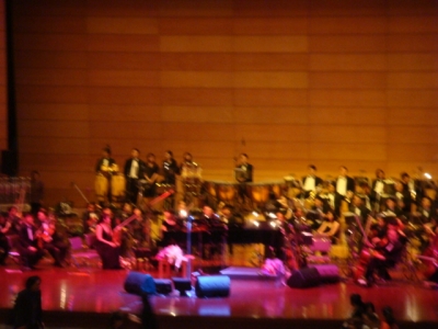 DSC00652.JPG