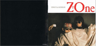 zone shm 001.jpg