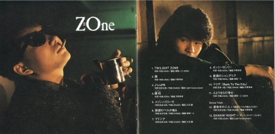 zone shm 002.jpg