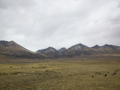 2011-02-15_13-12-11_33.jpg